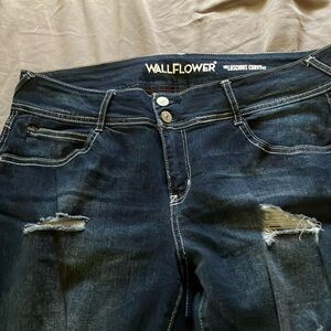 Wallflower Curvy fit jeans
